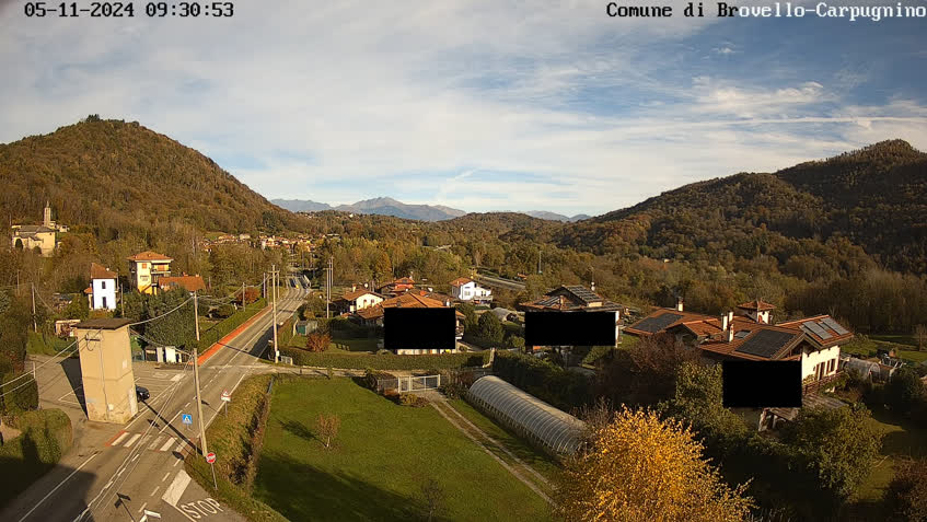 Live Cam