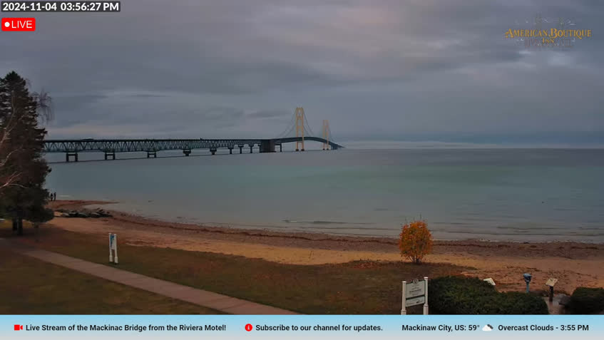 Live Cam