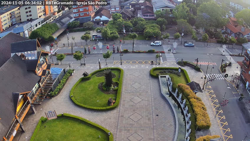 Live Cam