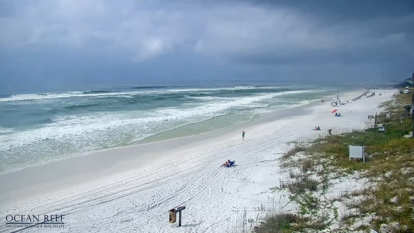 Live Cam