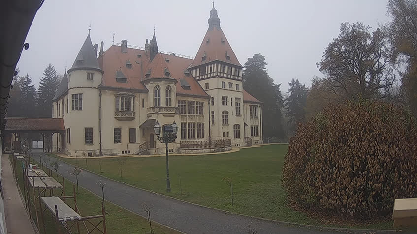 Kamera na żywo