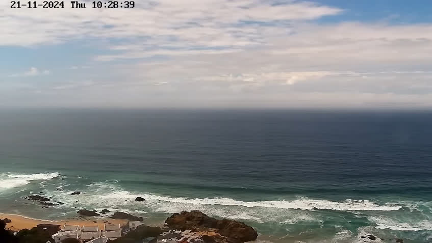 Live Cam