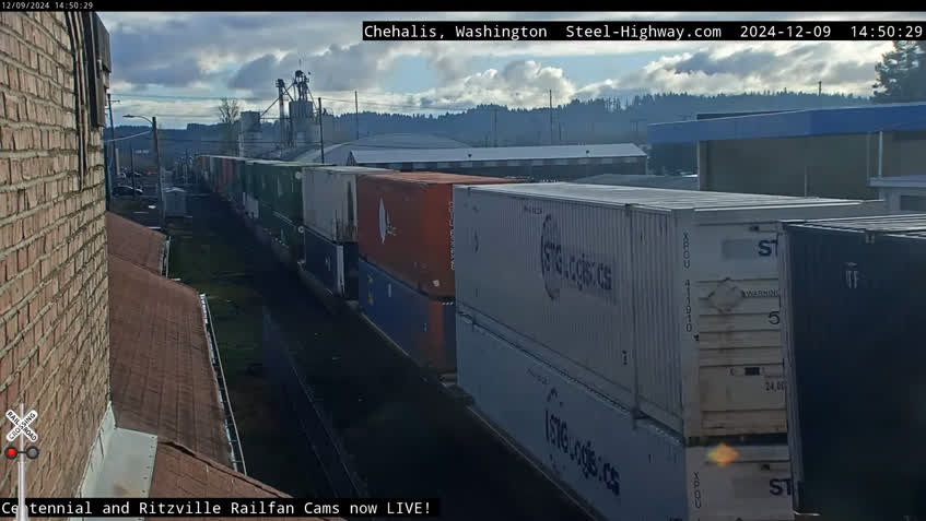 Live Cam