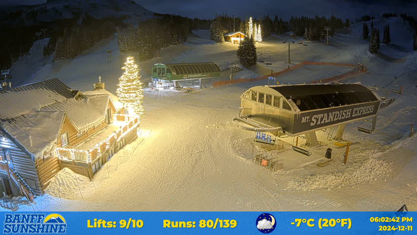 Live Cam