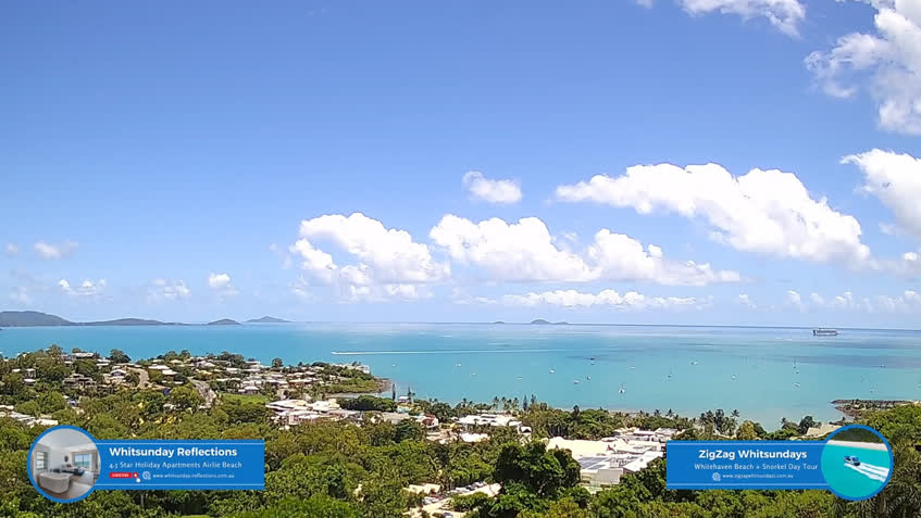 Live Cam