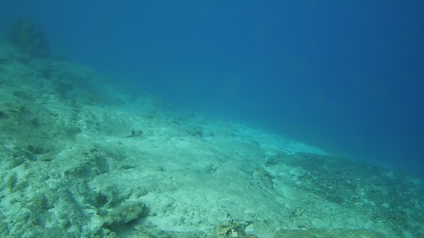 Webcam Underwater cam in Strongyli of Chalki