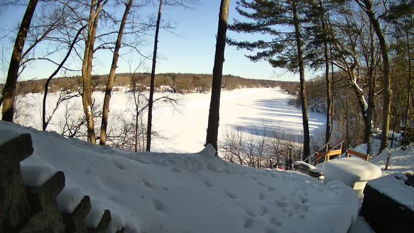 Cámara web en directo