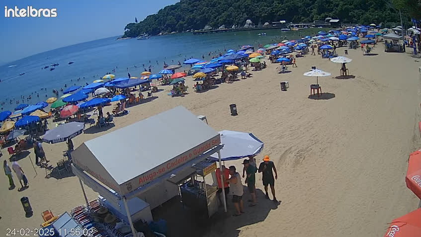 LIVE Camera