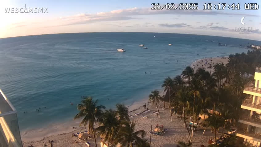Live Cam