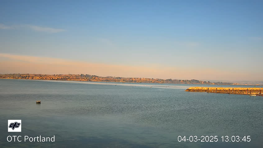 Cámara web en directo