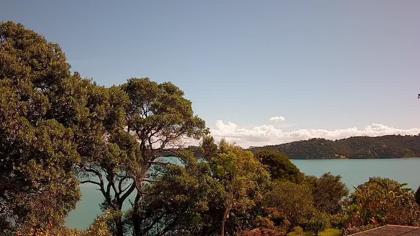 Webcam Waiheke Island - New Zealand