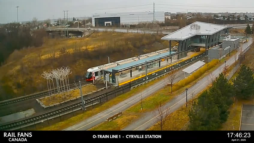Live Cam