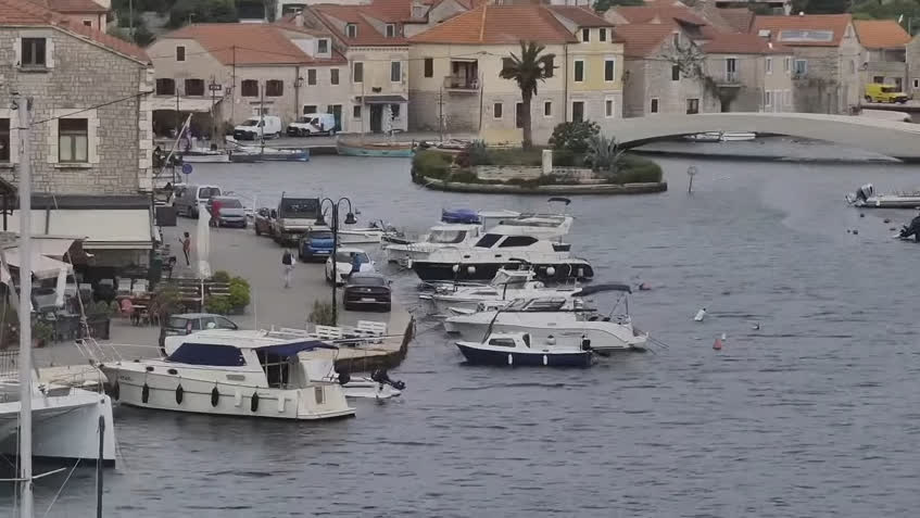 Kamera na żywo