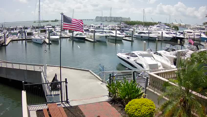 Webcam Westshore Yacht Club Marina - Tampa
