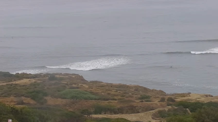 Live Cam