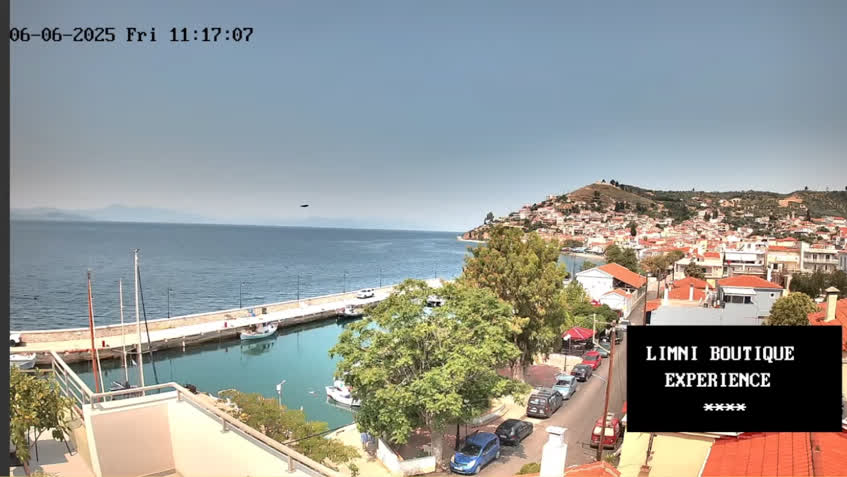 Live Cam