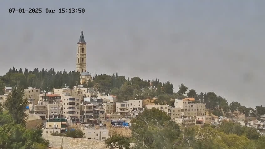 Live Cam
