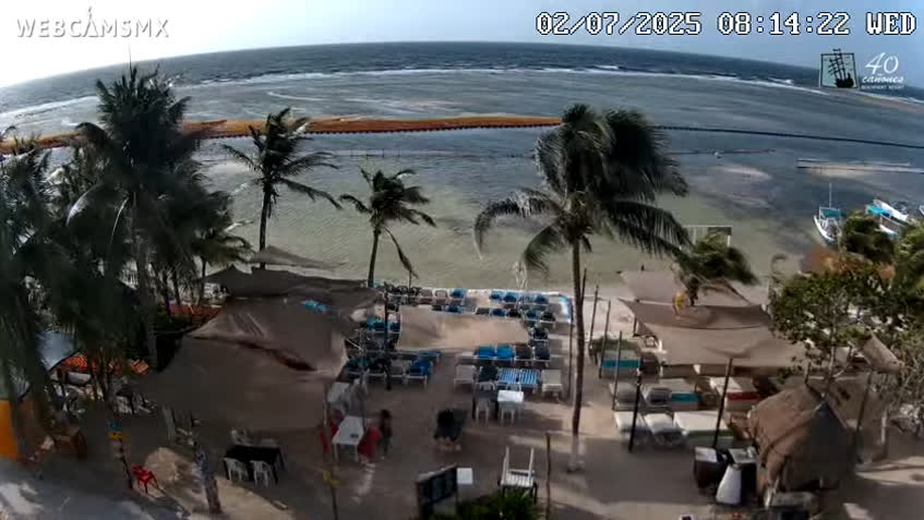 LIVE Camera