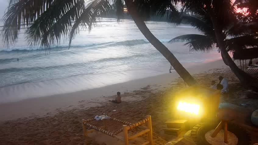 Live Cam