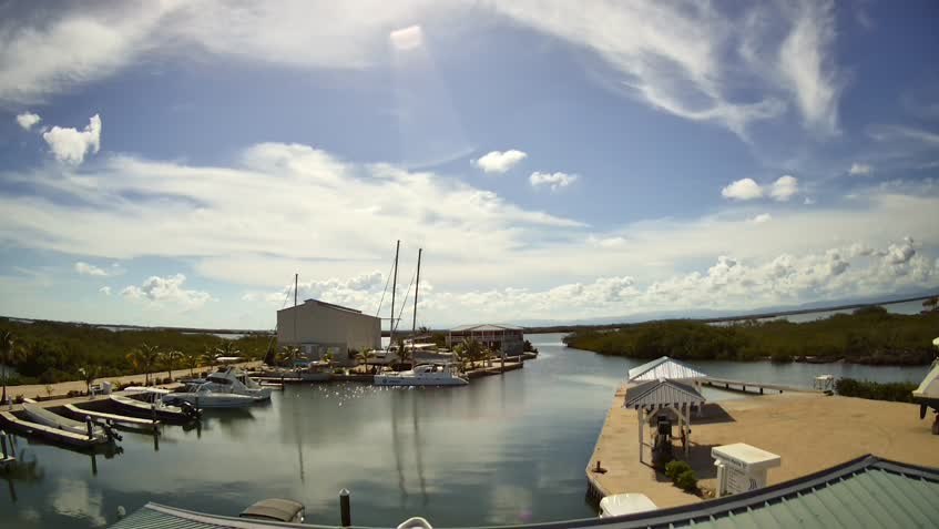 Webcam Marina Hummingbird - Belice