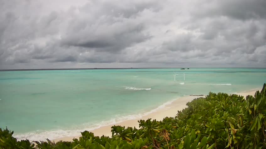 Webcam Pullman Maamutaa Island
