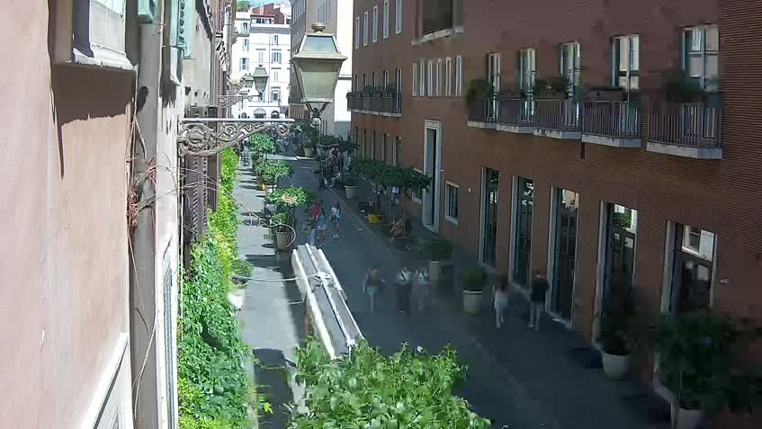 Live Cam