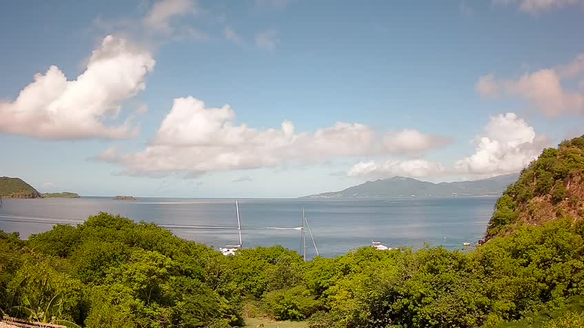 Cámara web en directo