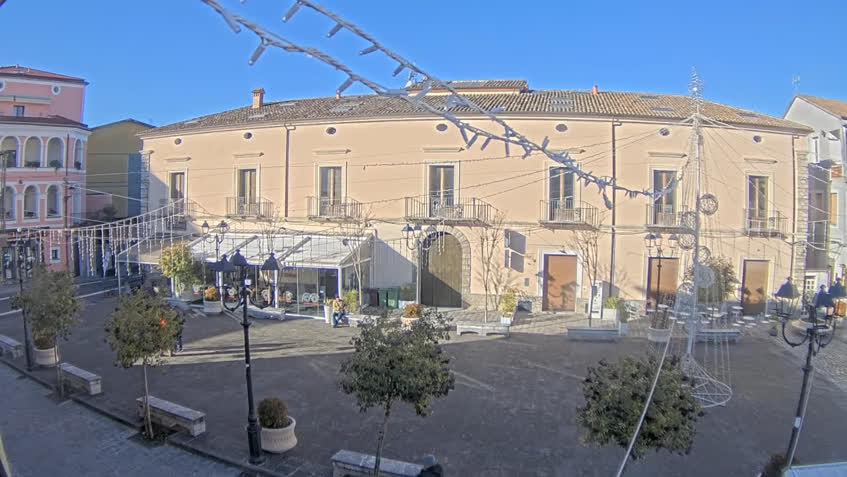 Live Cam