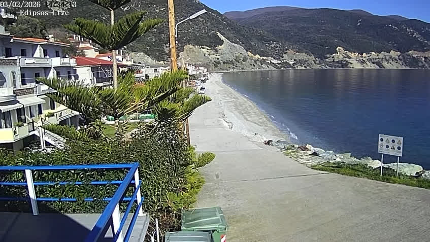 Live Cam