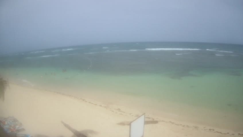 Live Cam