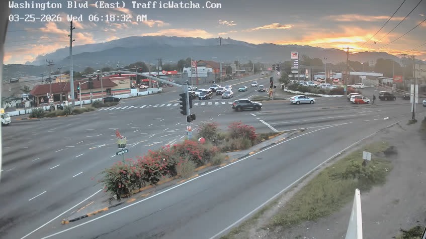 Live Cam