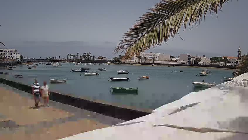 Live Cam