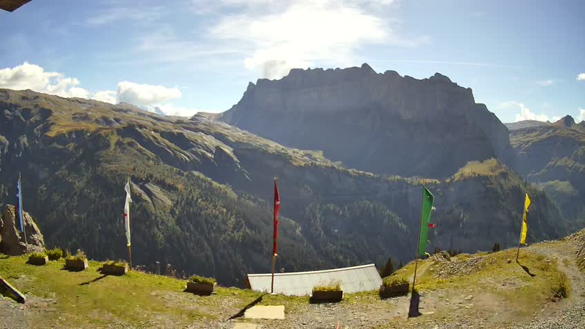 Live Cam