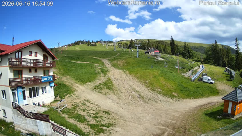 Live Cam