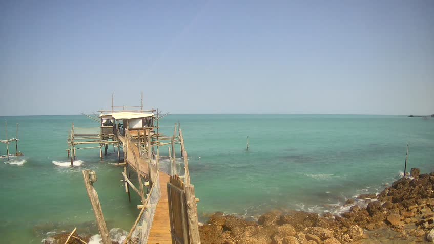 Live Cam