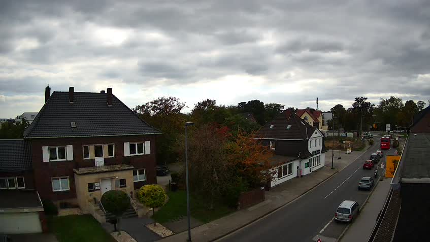 Live Cam