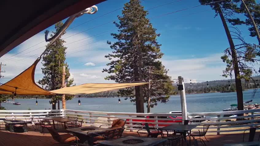 Live Cam