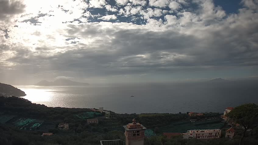 LIVE Camera