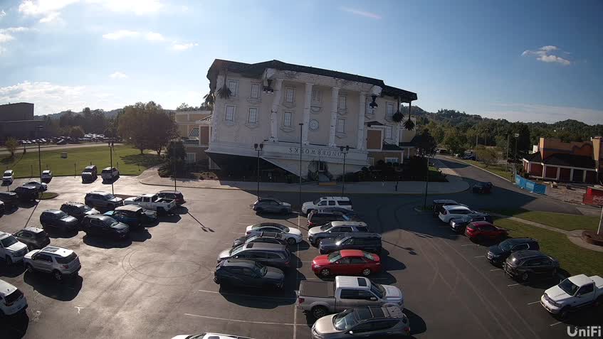 Live Cam
