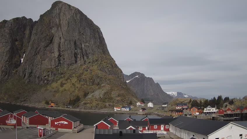 Webcam Lofoten Islands - Reinefjord
