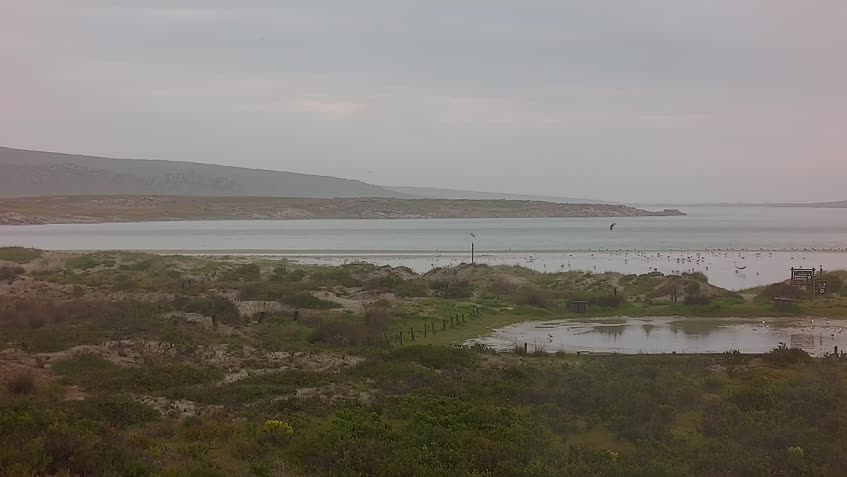 Webcam Langebaan Lagoon - Южная Африка