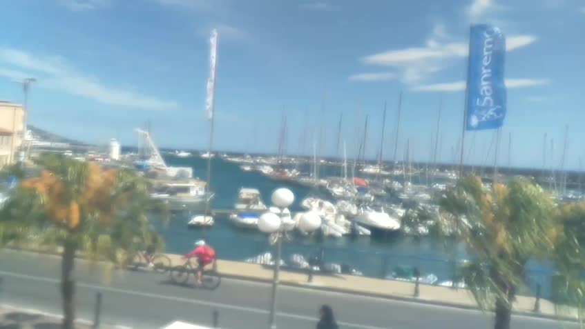 Live Cam