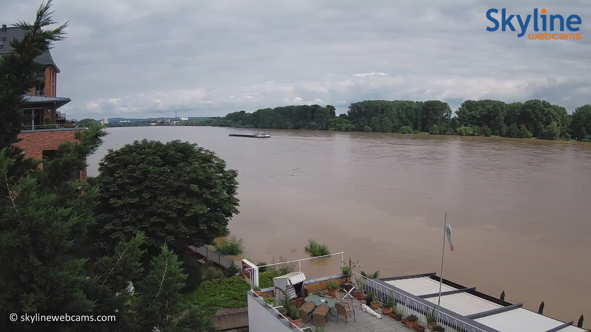 Il fiume Reno dalla Webcam