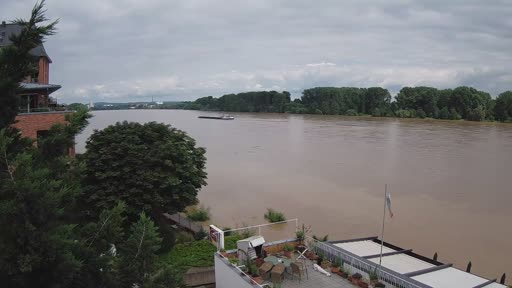 Il fiume Reno dalla Webcam