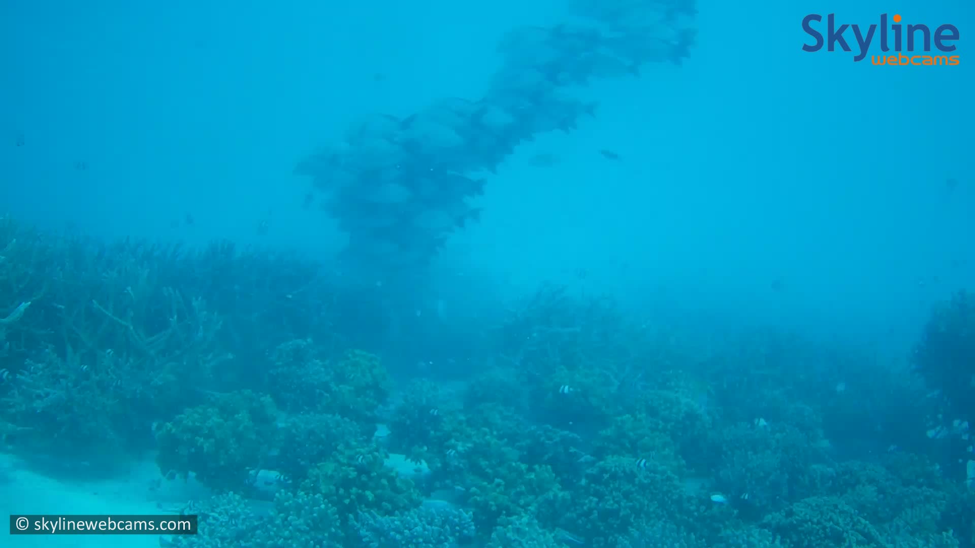 Webcam subacquea a Meeru Island, Maldive