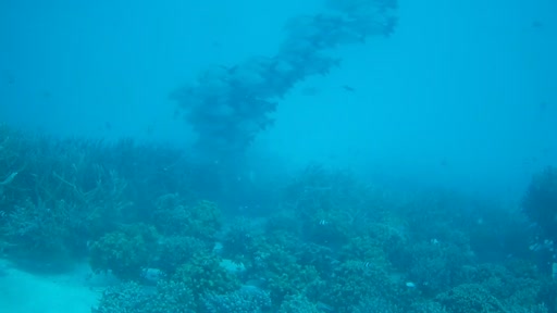 Webcam subacquea a Meeru Island, Maldive