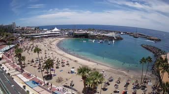 Cámara web en vivo Costa Adeje - Playa La Pinta