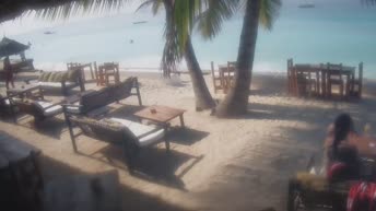 Webcam Zanzibar - Pwani Mchangani
