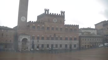 Webcam Siena