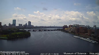 实况摄像头 波士顿 - 查尔斯河